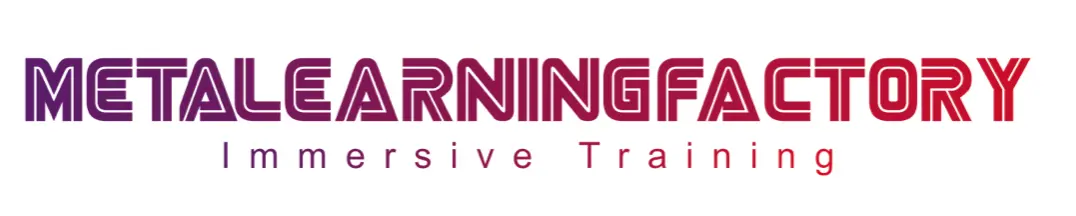 MLF Metaverse e-learning